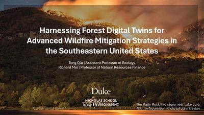 Project team and title