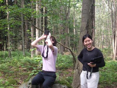 Sean is using binoculars to count seed crops in the canopy, Sophie is taking a break from data entry, and Ivy captured the moment.