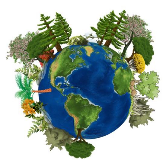 Biodiversity response to climate and habitat