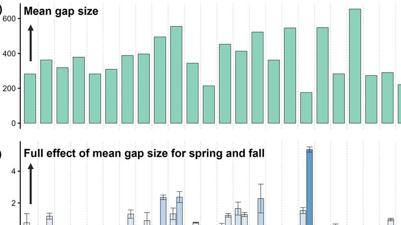 Phenological Responses to Canopy Structure Depend on Vegetation Biomes Across the United States
