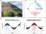 Fecundity and terrain-climate interactions that shape tree niche differences across North America and Europe