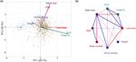 Linking seed size and number to trait syndromes in trees