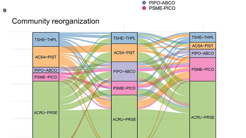 Niche shifts from trees to fecundity to recruitment that determine species response to climate change