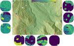 Habitat–trait interactions that control response to climate change: North American ground beetles (Carabidae)