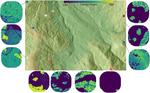 Habitat–trait interactions that control response to climate change: North American ground beetles (Carabidae)