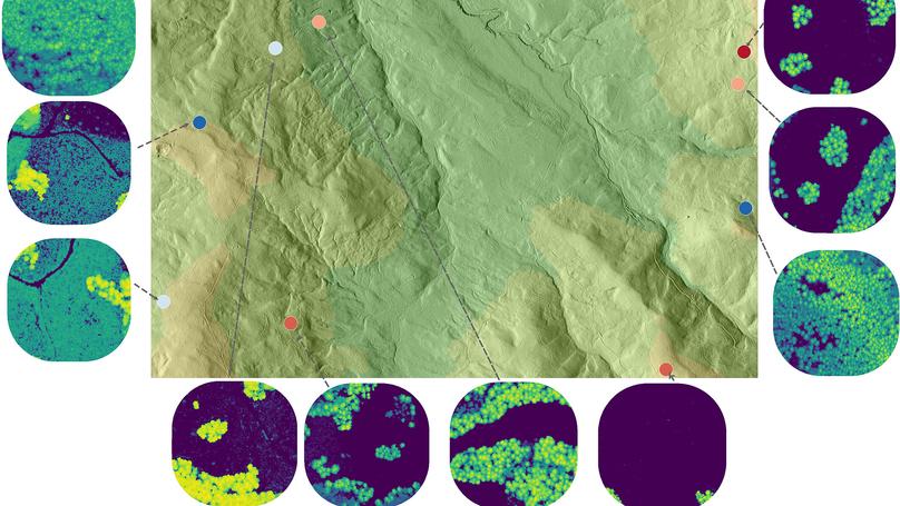 Habitat–trait interactions that control response to climate change: North American ground beetles (Carabidae)