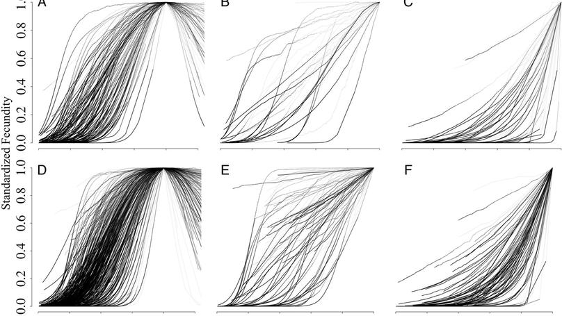 Is there tree senescence? The fecundity evidence