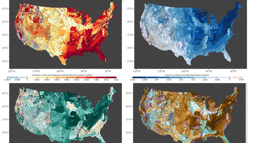 Understanding the continuous phenological development at a daily time step with a Bayesian hierarchical space-time model: impacts of climate change and extreme weathers