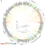 Limits to reproduction and seed size-number trade-offs that shape forest dominance and future recovery